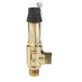 CASTEL SAFETY VALVE 3030/88C 1 NPT x 1.1/4 G 29 BAR